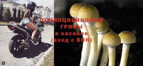 скорость Алексин