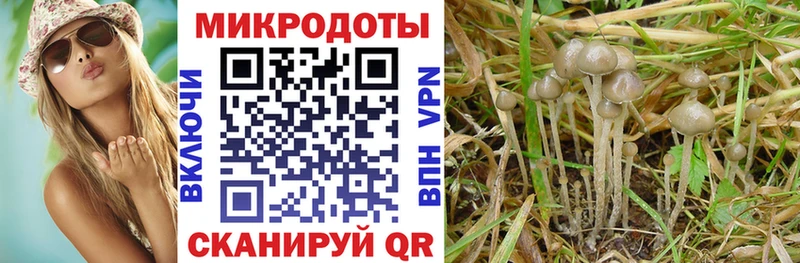 наркотики  Бабаево  Псилоцибиновые грибы MAGIC MUSHROOMS 